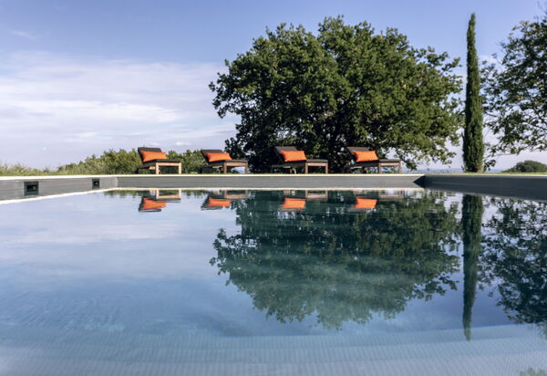 Villa Dei Conti: Attività, Caratteristiche, Estate, Esterni, Piscina, Primavera