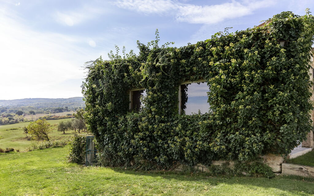 Villa Dei Conti: Attività, Caratteristiche, Estate, Esterni, Piscina, Primavera