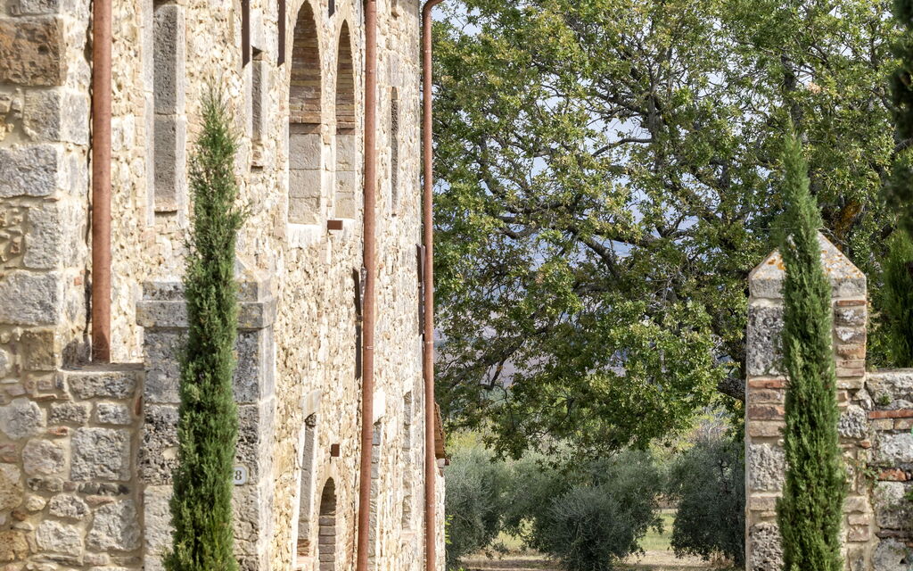 Villa Dei Conti: Attività, Caratteristiche, Estate, Esterni, Piscina, Primavera