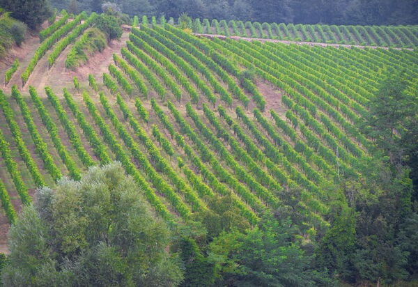 Villa Delizia: Activities, Amenities, Balcony / Terrace / Patio, Building Exterior, Pool, Room Detail, Spring, Summer