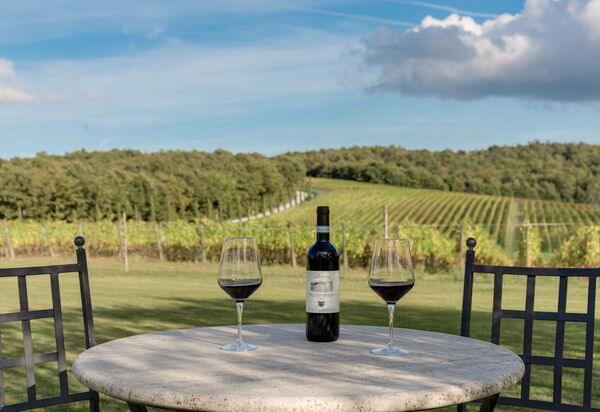 Villa Dioniso: Activities, Amenities, Building Exterior, Main Entrance, Pool, Spring, Summer