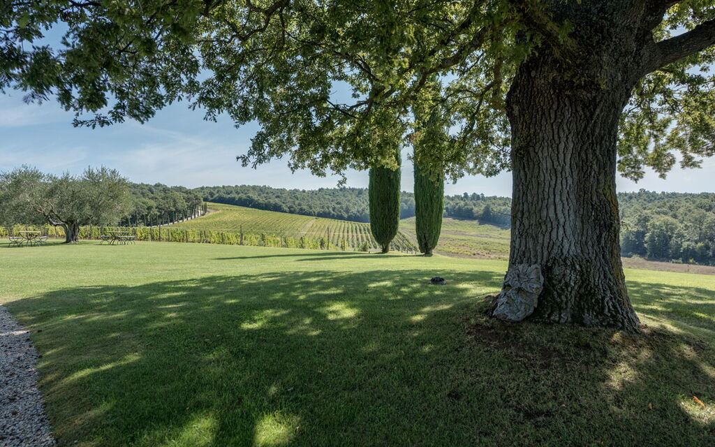 Villa Dioniso: Activities, Amenities, Building Exterior, Main Entrance, Pool, Spring, Summer