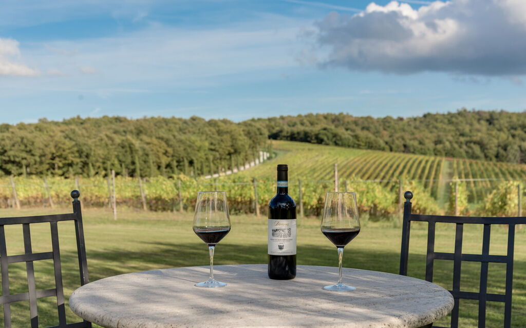 Villa Dioniso: Activities, Amenities, Building Exterior, Main Entrance, Pool, Spring, Summer