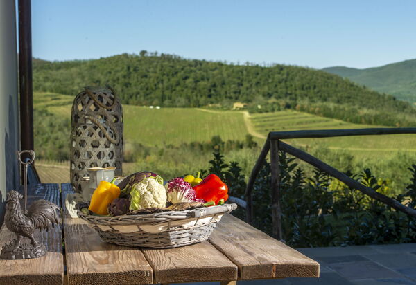 Villa Il Tino: Amenities, Building Exterior, Garden, Main Entrance, Other Room, Outdoor, Pool, Spring, Summer, Wellness