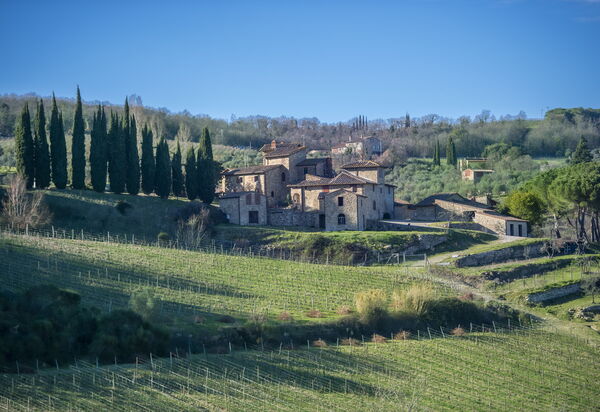 Villa Il Tino: Amenities, Building Exterior, Garden, Main Entrance, Other Room, Outdoor, Pool, Spring, Summer, Wellness