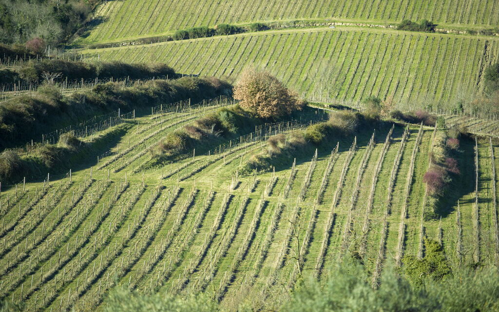 Villa Il Tino: Amenities, Building Exterior, Garden, Main Entrance, Other Room, Outdoor, Pool, Spring, Summer, Wellness