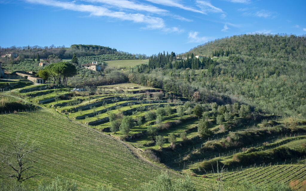 Villa Il Tino: Amenities, Building Exterior, Garden, Main Entrance, Other Room, Outdoor, Pool, Spring, Summer, Wellness