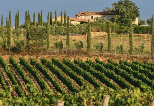 Villa Lotus Magliano: Attività, Balcone / Terrazza / Patio, Benessere, Caratteristiche, Entrata Principale, Estate, Esterni, Giardino, Piscina, Primavera