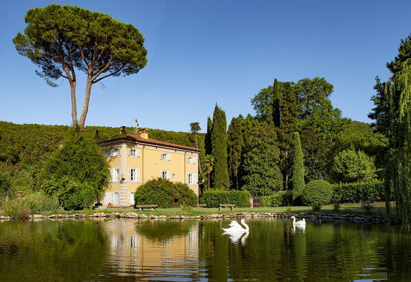 Villa Laica: Attività, Balcone / Terrazza / Patio, Caratteristiche, Estate, Esterni, Piscina, Primavera