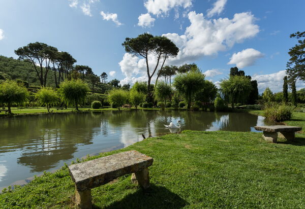 Villa Laica: Attività, Balcone / Terrazza / Patio, Caratteristiche, Estate, Esterni, Piscina, Primavera