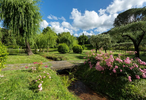 Villa Laica: Attività, Balcone / Terrazza / Patio, Caratteristiche, Estate, Esterni, Piscina, Primavera