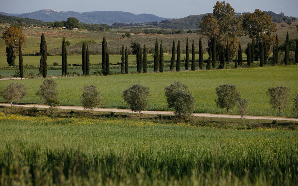 Villa Vinetti: Activities, Balcony / Terrace / Patio, Building Exterior, Garden, Main Entrance, Pool, Spring, Summer