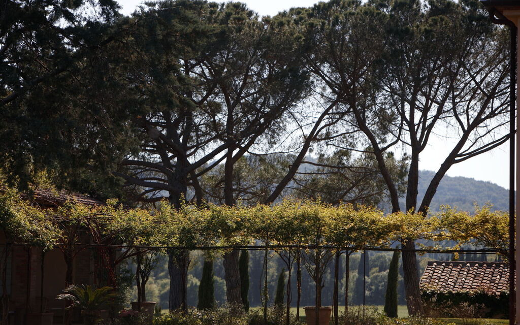 Villa Vinetti: Activities, Balcony / Terrace / Patio, Building Exterior, Garden, Main Entrance, Pool, Spring, Summer