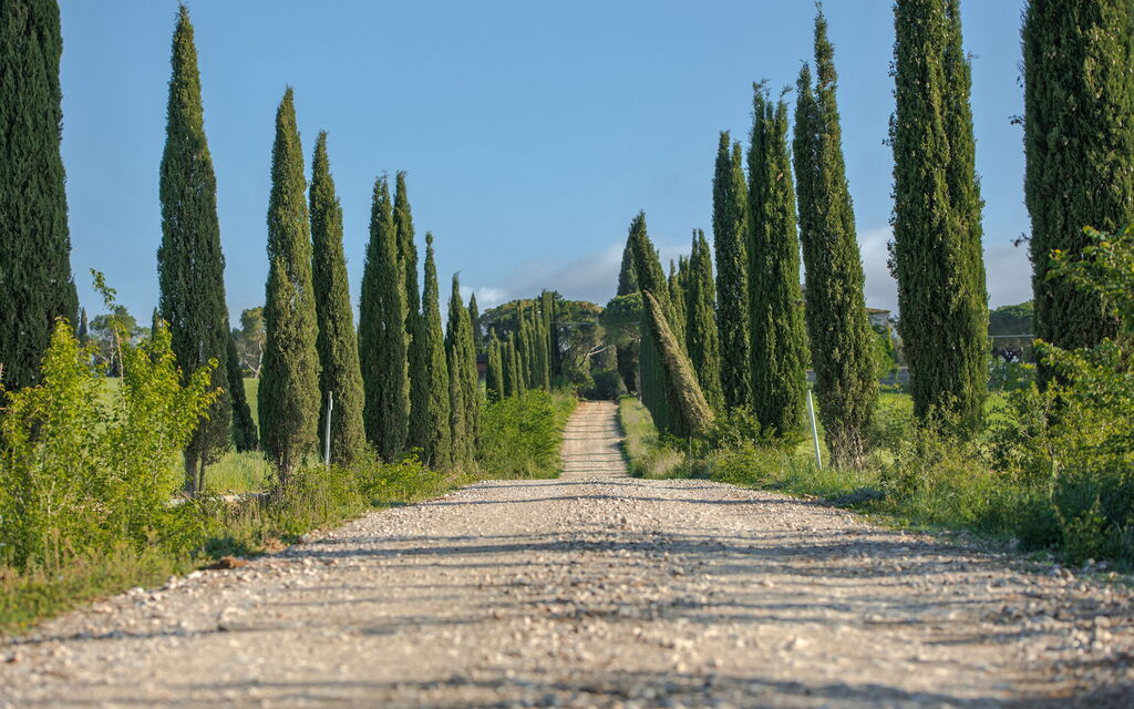 Villa Vinetti: Activities, Balcony / Terrace / Patio, Building Exterior, Garden, Main Entrance, Pool, Spring, Summer