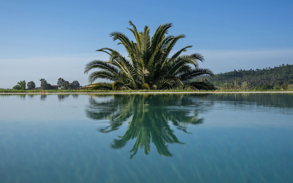 Villa Vinetti: Activities, Balcony / Terrace / Patio, Building Exterior, Garden, Main Entrance, Pool, Spring, Summer