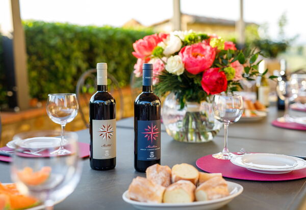 Villa Solina: Activities, Amenities, Balcony / Terrace / Patio, Building Exterior, Facilities, Garden, Pool, Spring, Summer