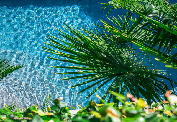 Villa Maestosa: Activities, Amenities, Building Exterior, Facilities, Garden, Hot Tub, Main Entrance, Planimetry, Pool, Spring, Summer