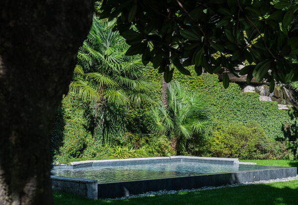 Villa Maestosa: Activities, Amenities, Building Exterior, Facilities, Garden, Hot Tub, Main Entrance, Planimetry, Pool, Spring, Summer