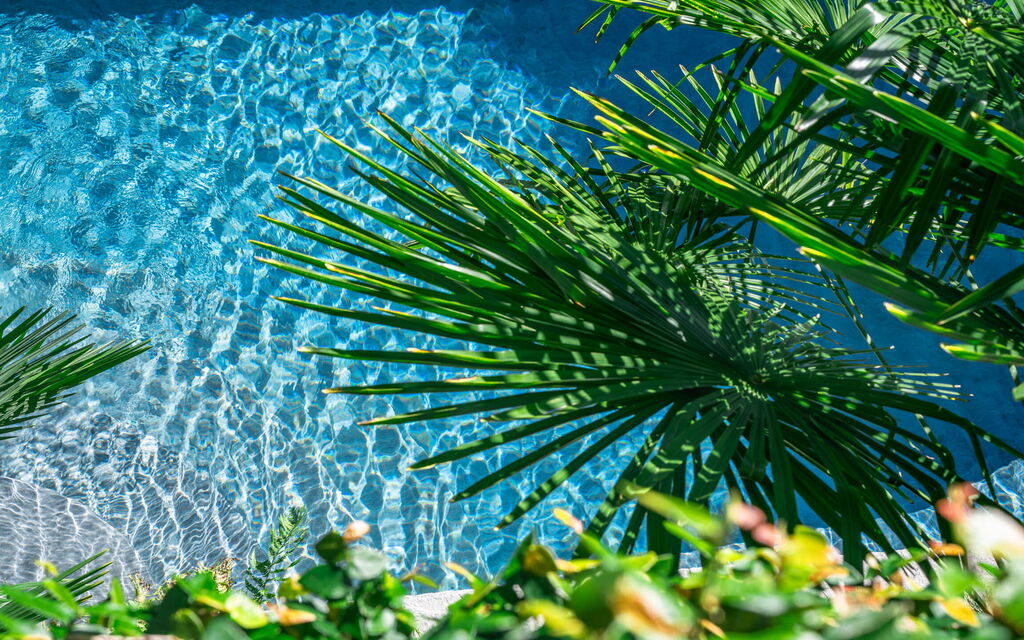 Villa Maestosa: Activities, Amenities, Building Exterior, Facilities, Garden, Hot Tub, Main Entrance, Planimetry, Pool, Spring, Summer