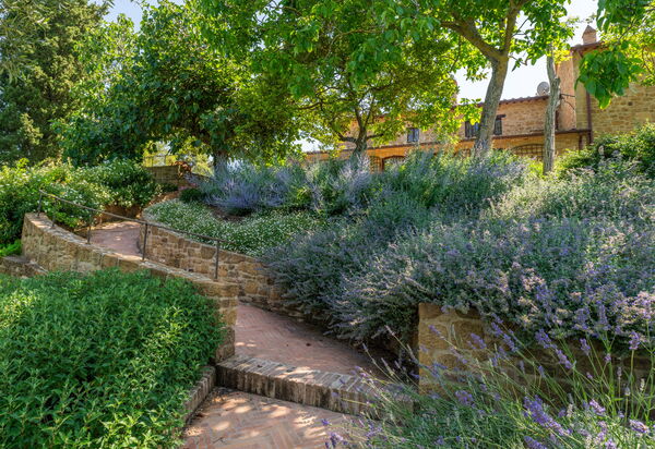 Villa Benedetta: Activities, Amenities, Building Exterior, Garden, Main Entrance, Pool, Spring, Summer, Wellness