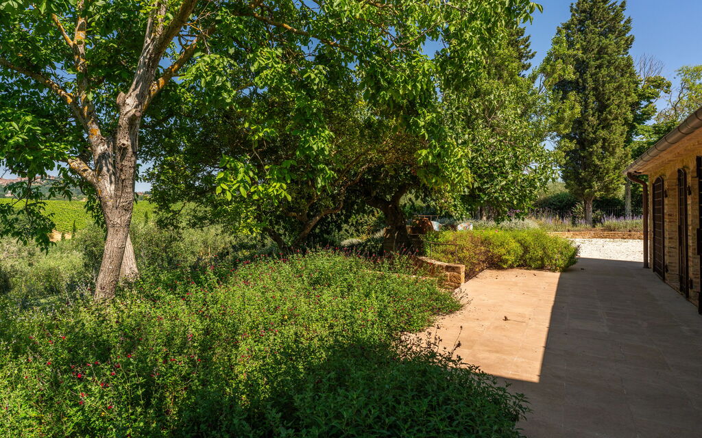 Villa Benedetta: Attività, Benessere, Caratteristiche, Entrata Principale, Estate, Esterni, Giardino, Piscina, Primavera