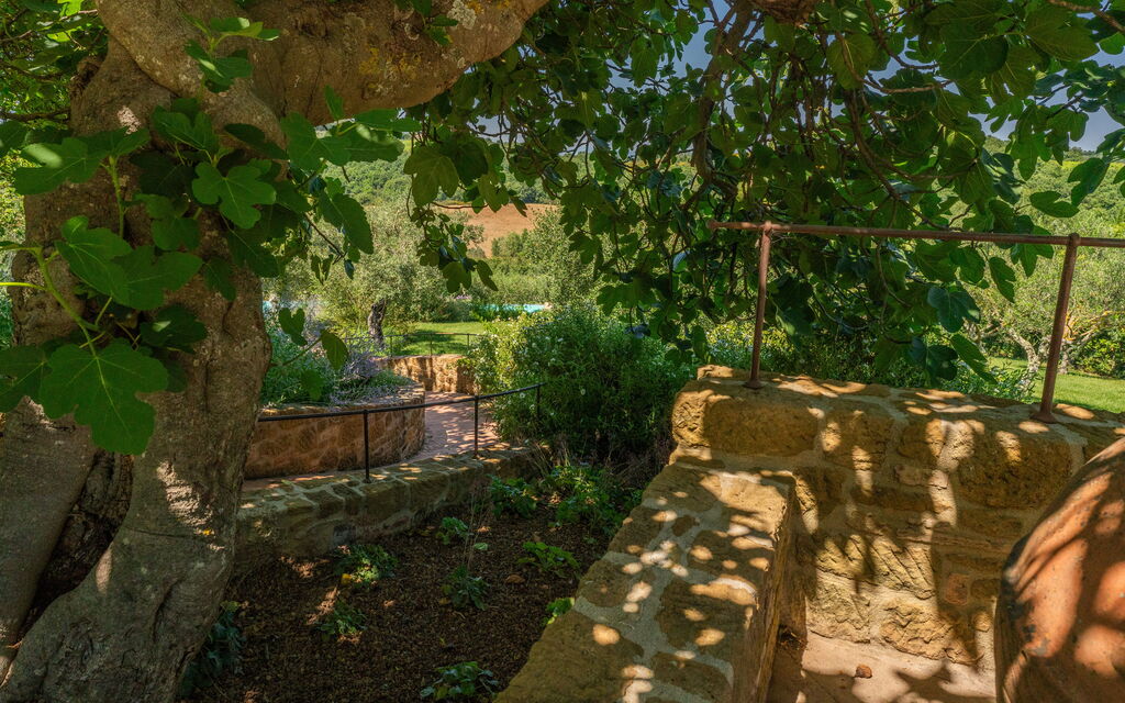 Villa Benedetta: Attività, Benessere, Caratteristiche, Entrata Principale, Estate, Esterni, Giardino, Piscina, Primavera