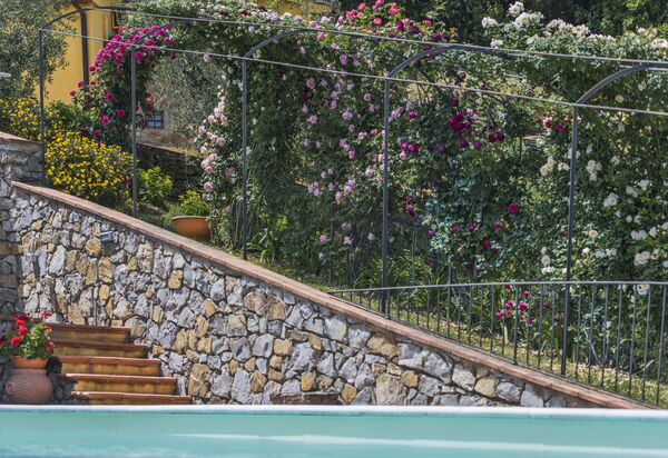 Villa Sole Di Toscana: Attività, Balcone / Terrazza / Patio, Benessere, Caratteristiche, Estate, Esterni, Piscina, Primavera, Servizi