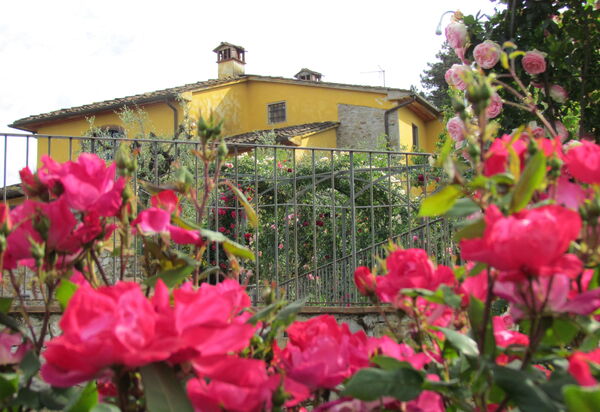 Villa Sole Di Toscana: Attività, Balcone / Terrazza / Patio, Benessere, Caratteristiche, Estate, Esterni, Piscina, Primavera, Servizi