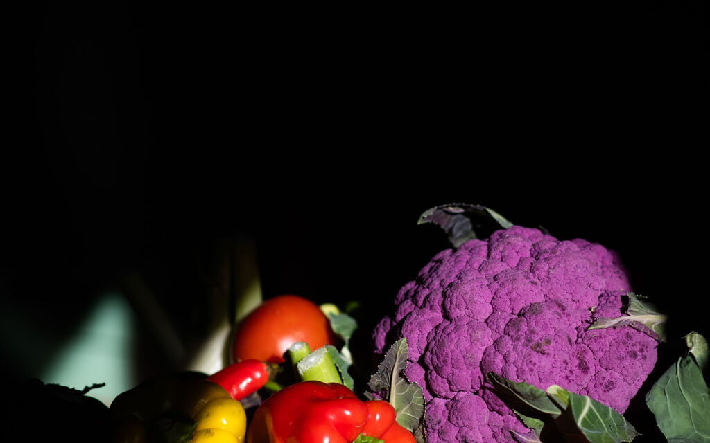 Villa Sole Di Toscana