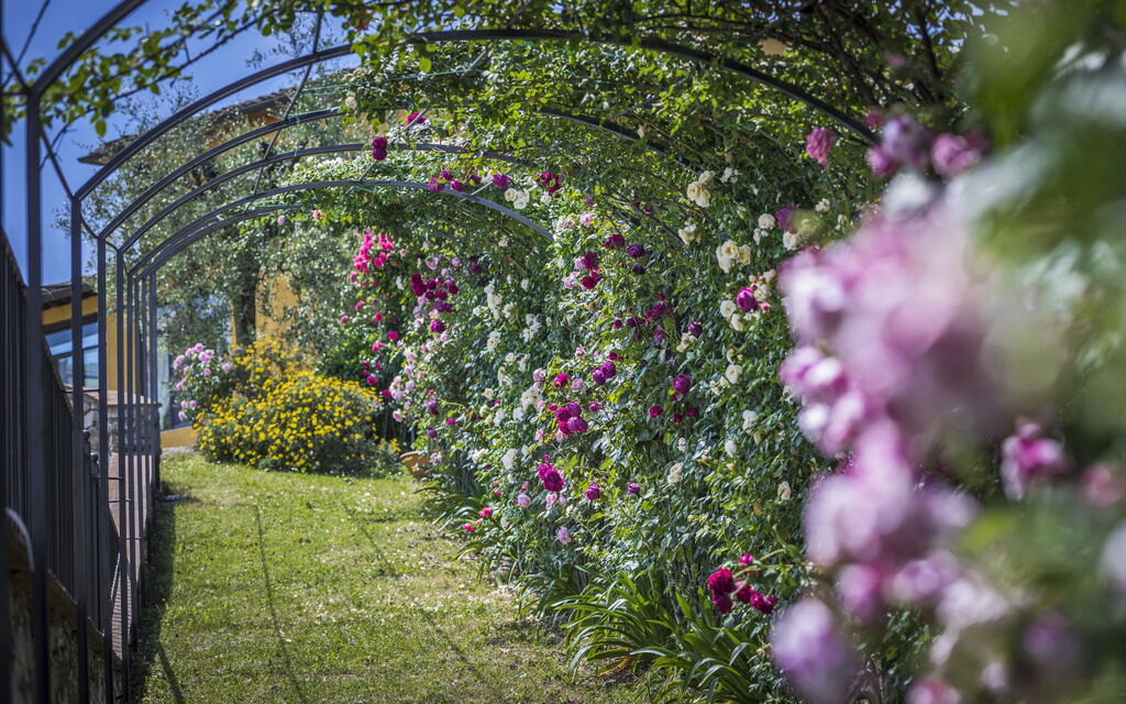 Villa Sole Di Toscana: Attività, Balcone / Terrazza / Patio, Benessere, Caratteristiche, Estate, Esterni, Piscina, Primavera, Servizi