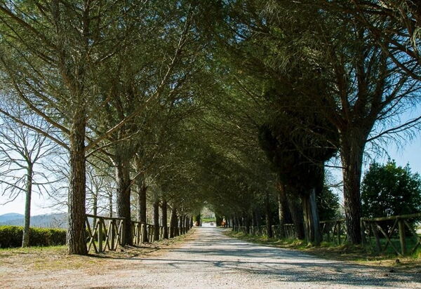 Villa Ghirlanda: Activities, Amenities, Garden, Outdoor, Pool, Spring, Summer