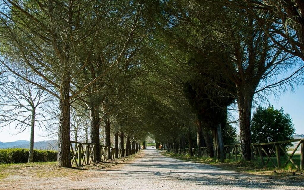 Villa Ghirlanda: all'aperto, Attività, Caratteristiche, Estate, Giardino, Piscina, Primavera