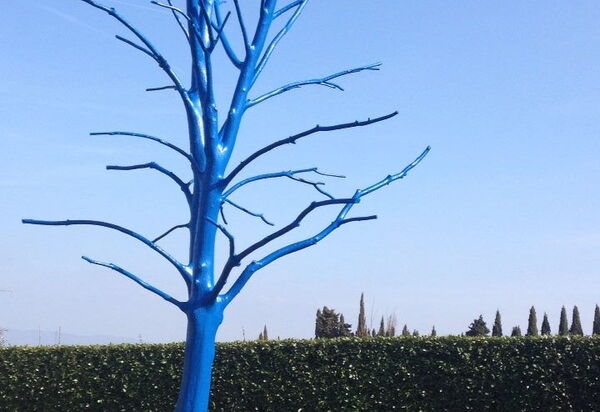 Villa Serena: Amenities, Building Exterior, Main Entrance, Pool, Spring, Summer