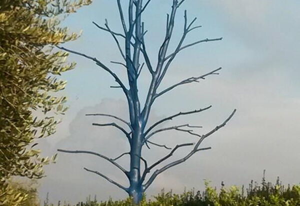 Villa Serena: Amenities, Building Exterior, Main Entrance, Pool, Spring, Summer