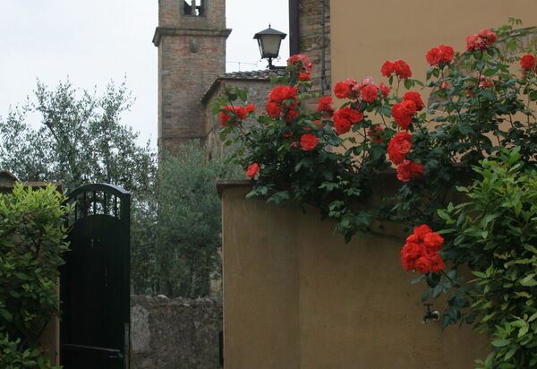 Villa Serena: Amenities, Building Exterior, Main Entrance, Pool, Spring, Summer