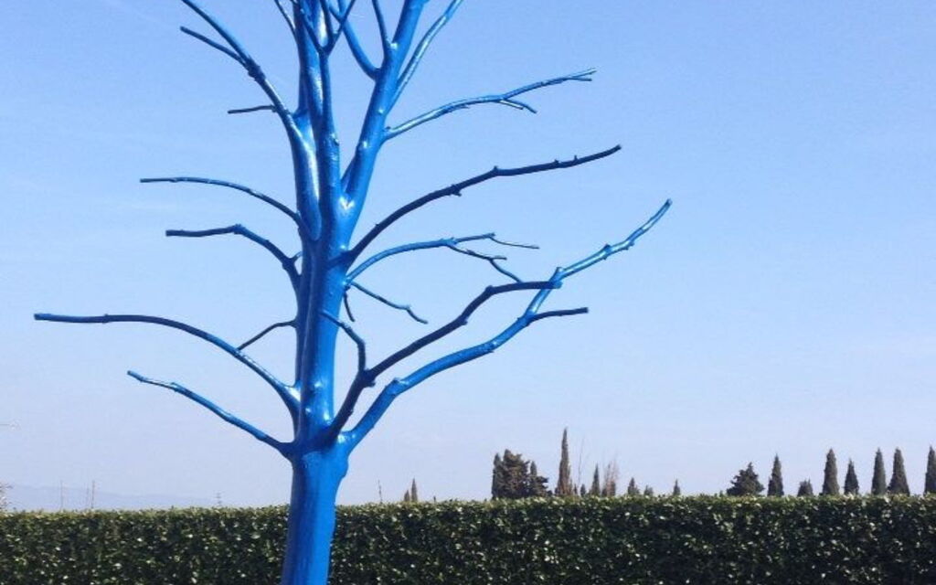 Villa Serena: Amenities, Building Exterior, Main Entrance, Pool, Spring, Summer