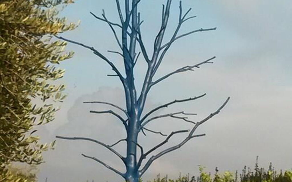 Villa Serena: Amenities, Building Exterior, Main Entrance, Pool, Spring, Summer