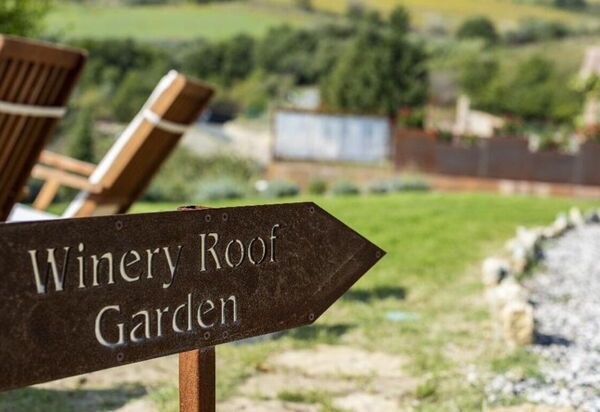 Villa Bolgheri: all'aperto, Attività, Balcone / Terrazza / Patio, Benessere, Caratteristiche, Dettagli della stanza, Entrata Principale, Estate, Esterni, Giardino, Idromassaggio, Piscina, Primavera, Vista Panoramica