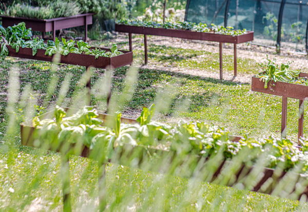 Villa Bolgheri: Attività, Balcone / Terrazza / Patio, Benessere, Caratteristiche, Dettagli della stanza, Entrata Principale, Estate, Esterni, Piscina, Primavera, Vista Panoramica
