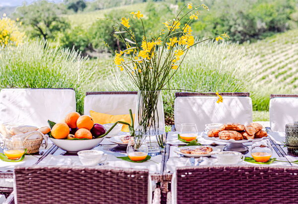 Villa Bolgheri: Attività, Balcone / Terrazza / Patio, Benessere, Caratteristiche, Dettagli della stanza, Entrata Principale, Estate, Esterni, Piscina, Primavera, Vista Panoramica