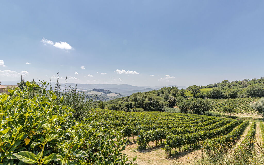 Villa Bolgheri: Attività, Balcone / Terrazza / Patio, Benessere, Caratteristiche, Dettagli della stanza, Entrata Principale, Estate, Esterni, Piscina, Primavera, Vista Panoramica