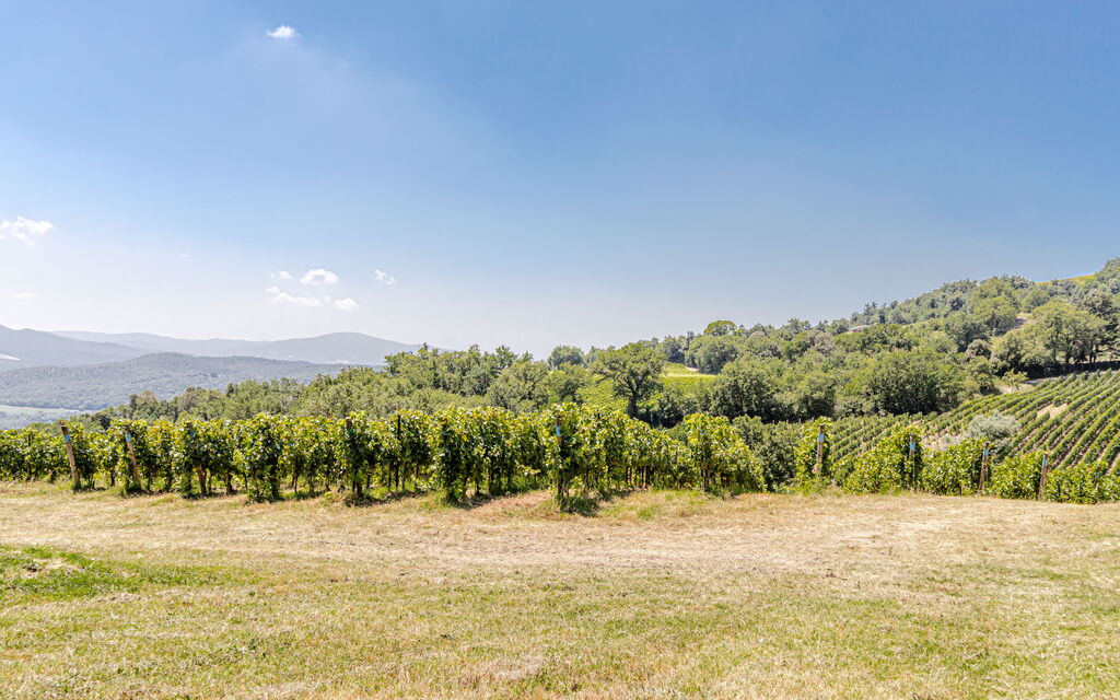 Villa Bolgheri: Attività, Balcone / Terrazza / Patio, Benessere, Caratteristiche, Dettagli della stanza, Entrata Principale, Estate, Esterni, Piscina, Primavera, Vista Panoramica