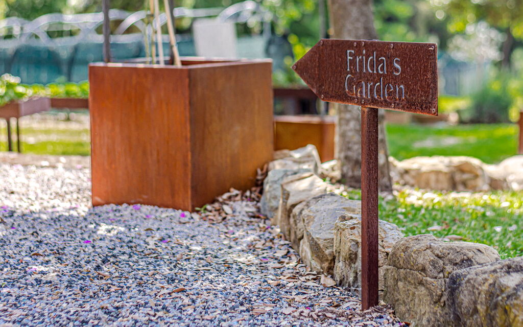 Villa Bolgheri: Attività, Balcone / Terrazza / Patio, Benessere, Caratteristiche, Dettagli della stanza, Entrata Principale, Estate, Esterni, Piscina, Primavera, Vista Panoramica