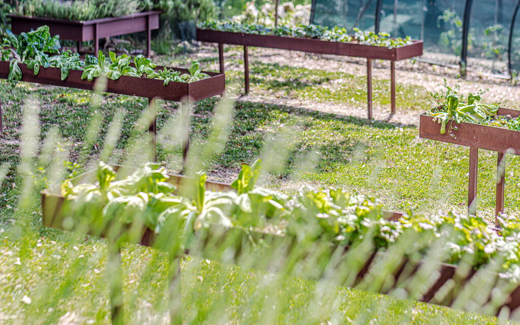 Villa Bolgheri: Attività, Balcone / Terrazza / Patio, Benessere, Caratteristiche, Dettagli della stanza, Entrata Principale, Estate, Esterni, Piscina, Primavera, Vista Panoramica
