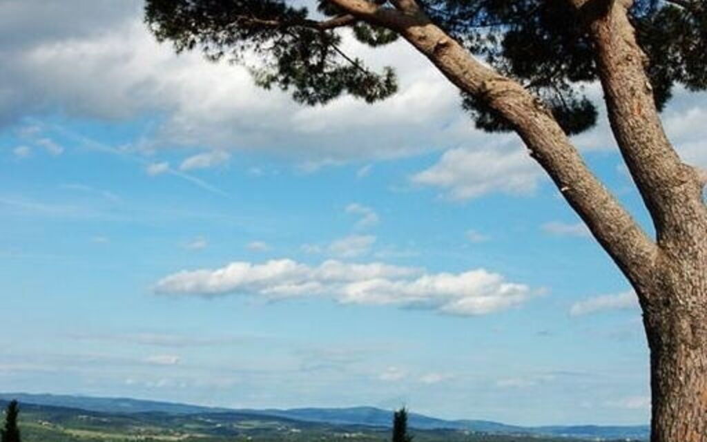 Villa Cerreto: Attività, Estate, Esterni, Giardino, Idromassaggio, Piscina, Primavera, Vista Panoramica