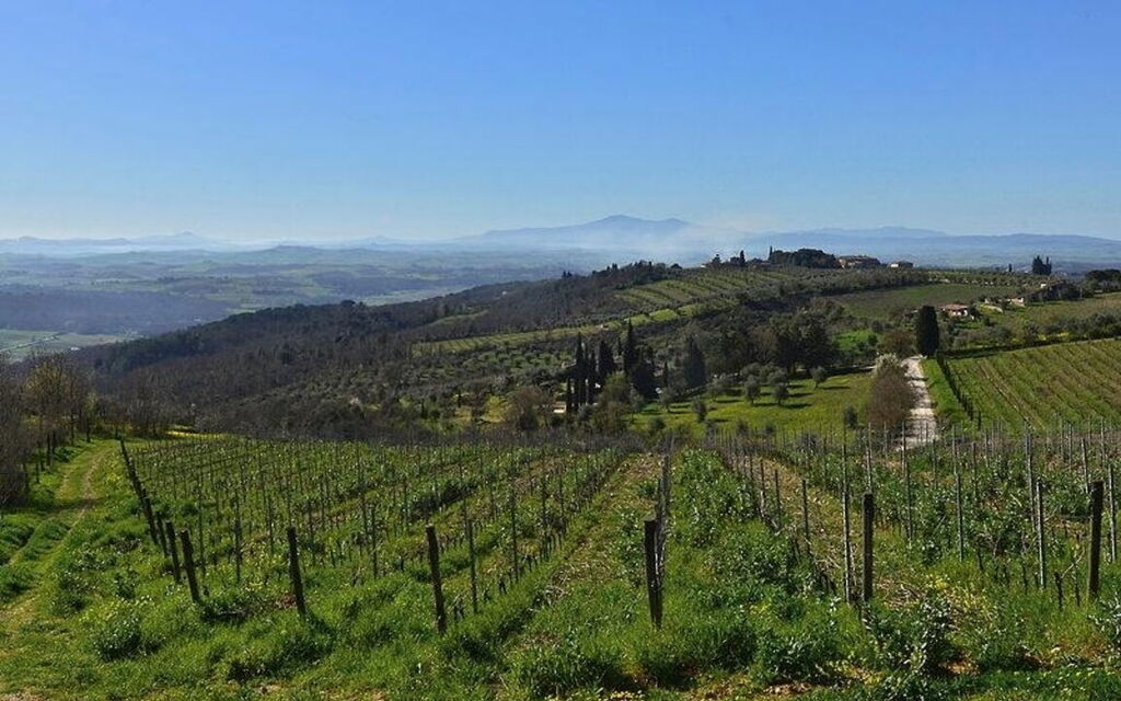 Villa Cerreto: Attività, Estate, Esterni, Giardino, Idromassaggio, Piscina, Primavera, Vista Panoramica