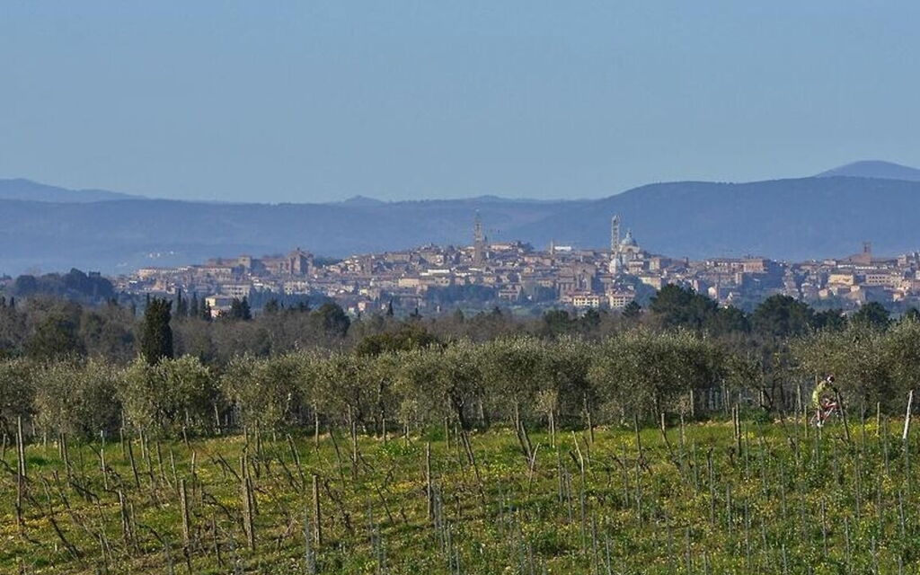 Villa Cerreto: Attività, Estate, Esterni, Giardino, Idromassaggio, Piscina, Primavera, Vista Panoramica