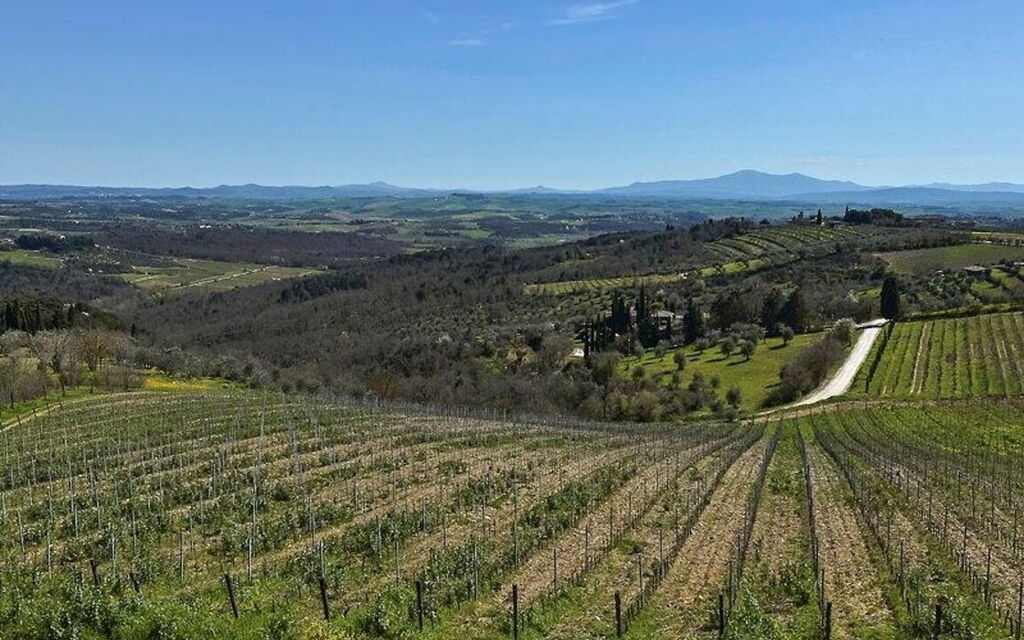 Villa Cerreto: Attività, Estate, Esterni, Giardino, Idromassaggio, Piscina, Primavera, Vista Panoramica