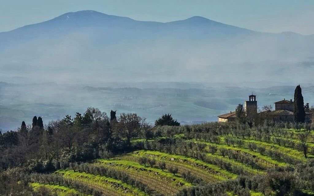 Villa Cerreto: Attività, Estate, Esterni, Giardino, Idromassaggio, Piscina, Primavera, Vista Panoramica