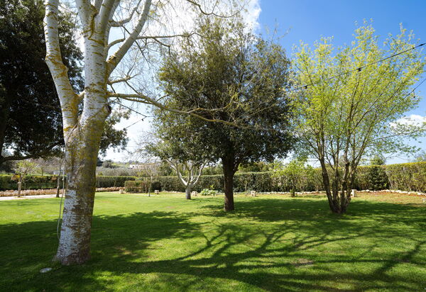 Masseria Del Saliceto